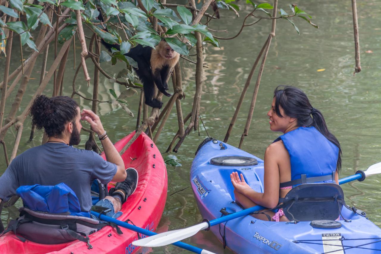 Kayak Lodge Damas Εξωτερικό φωτογραφία