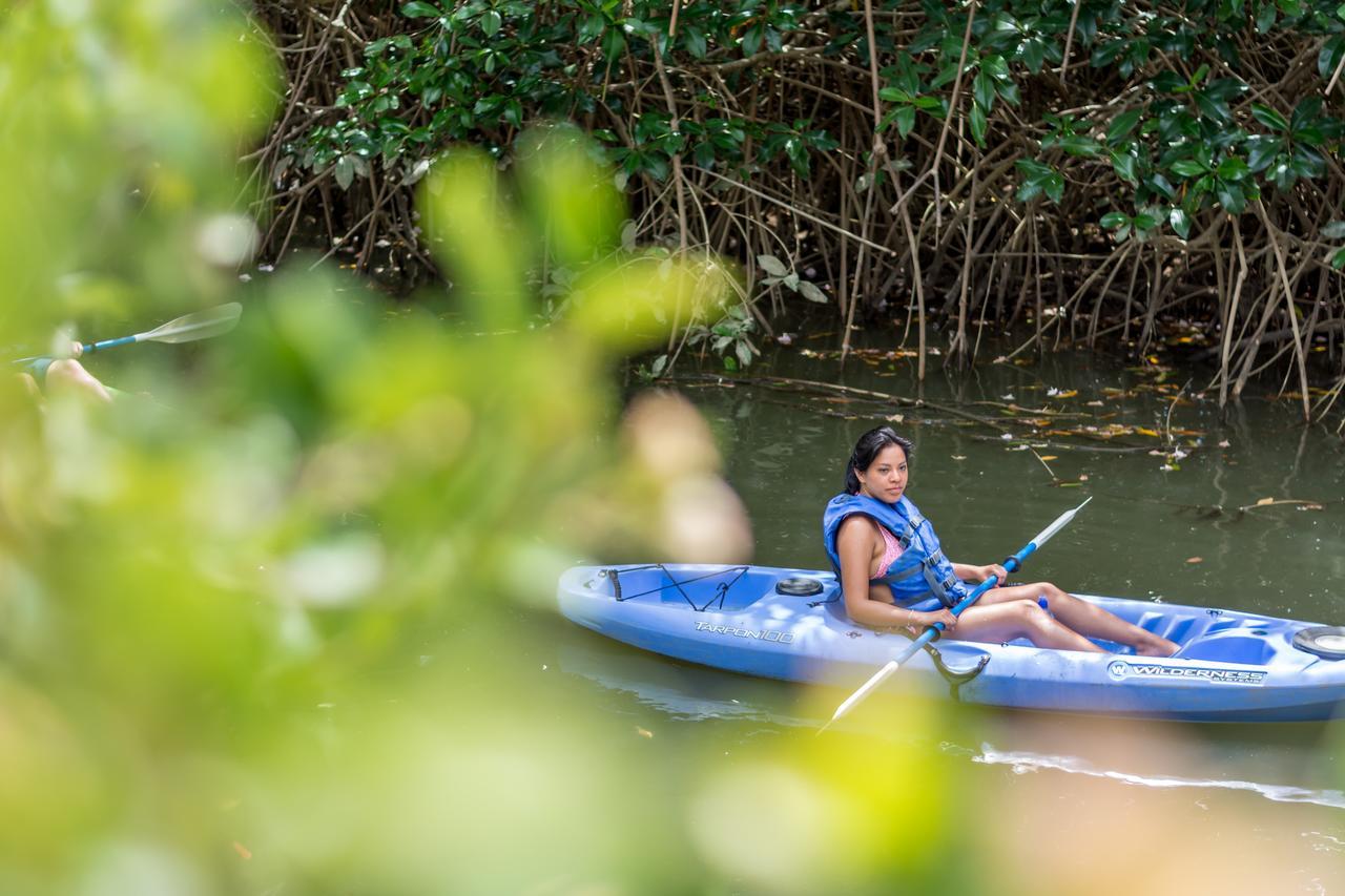 Kayak Lodge Damas Εξωτερικό φωτογραφία