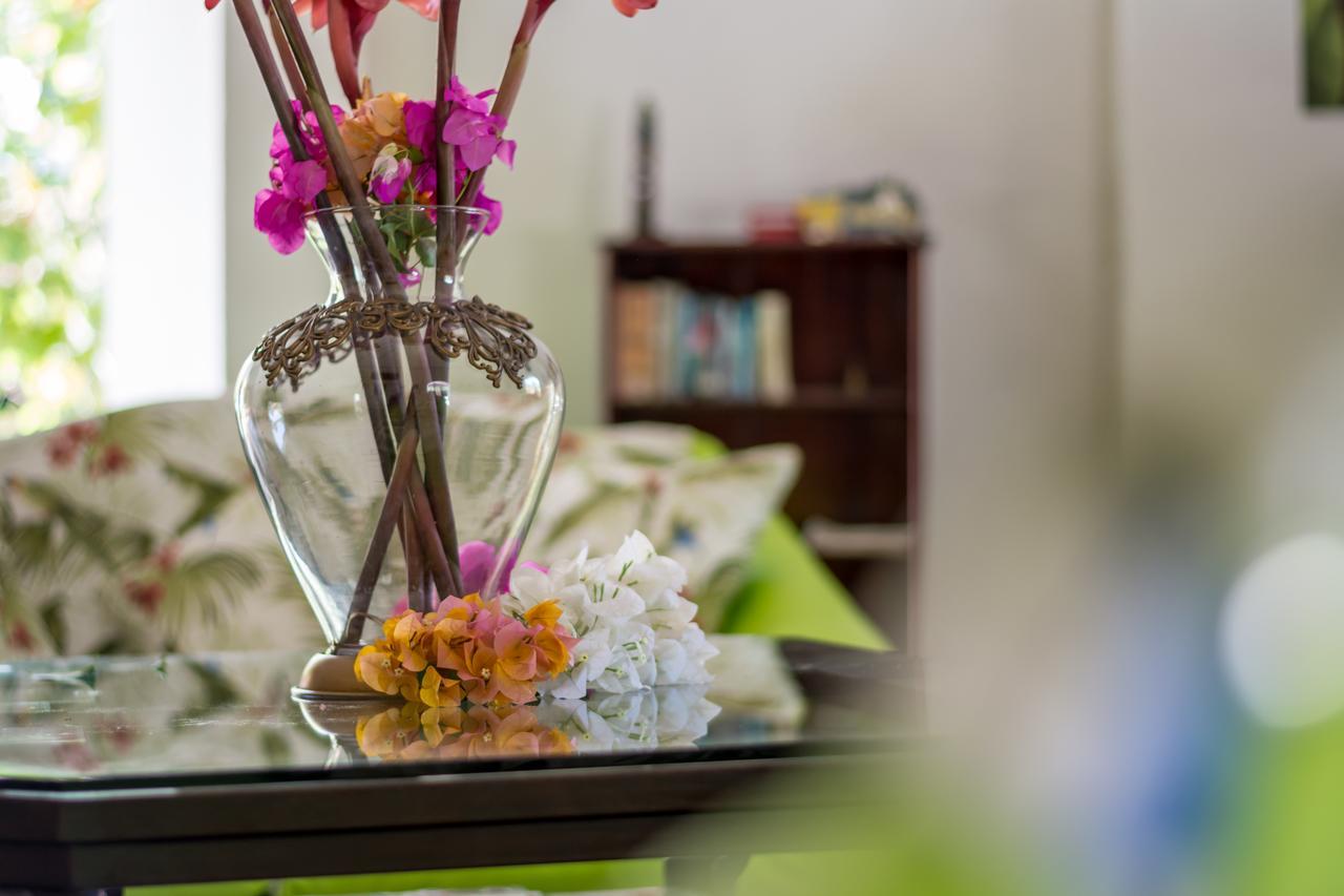 Kayak Lodge Damas Εξωτερικό φωτογραφία
